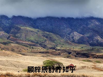 （顾梓辰舒柠）抖音顾梓辰舒柠小说阅读完结版-顾梓辰舒柠小说全文免费阅读