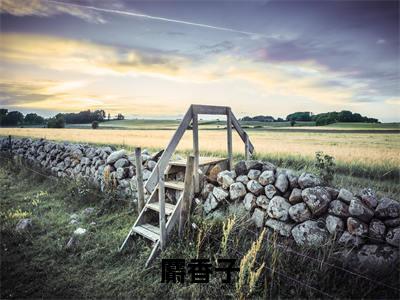 洛鸢顾山河小说全文免费阅读最新章节_麝香子（洛鸢顾山河）免费观看完结版_笔趣阁（麝香子）