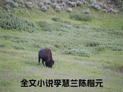 李慧兰陈楷元（李慧兰陈楷元）全文免费阅读_李慧兰陈楷元最新章节列表_笔趣阁