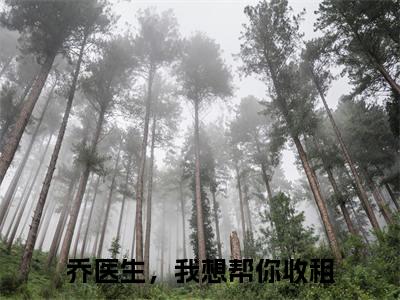 乔珩景颜小说全文（乔医生，我想帮你收租）完整版阅读-乔珩景颜小说全文无删减版