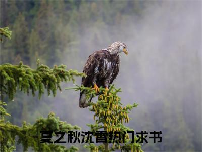 夏之秋沈霄全文免费大结局 夏之秋沈霄小说在线阅读