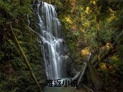 慕欢颜顾时晏难返小说全文在线阅读无弹窗大结局_（难返全文在线阅读无弹窗）