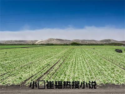 小婳崔韫（小婳崔韫）全文免费阅读无弹窗大结局_小婳崔韫在线阅读（小婳崔韫）
