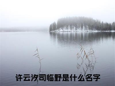许云汐司临野（许云汐司临野）无弹窗小说免费阅读_许云汐司临野最新章节免费阅读_笔趣阁