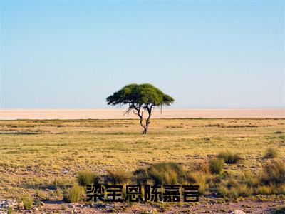 梁宝恩陈嘉言小说精彩章节今日阅读更新-（梁宝恩陈嘉言小说）免费阅读小说全文