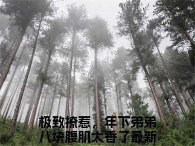 （陆遇白苏燃小说免费阅读）极致撩惹，年下弟弟八块腹肌太香了全文免费阅读无弹窗大结局-陆遇白苏燃全文免费版阅读