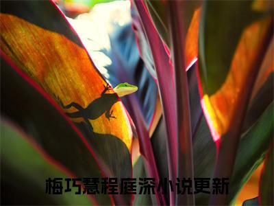 梅巧慧程庭深小说在哪里可以看 梅巧慧程庭深免费在线阅读