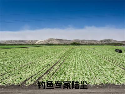 钓鱼专家陆尘小说最新试读_钓鱼专家陆尘是(钓鱼专家陆尘全文完整版免费阅读)_笔趣阁