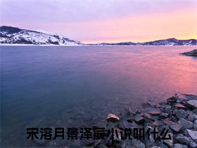 宋溶月景泽辰（宋溶月景泽辰）全文免费阅读无弹窗大结局_宋溶月景泽辰最新章节列表_笔趣阁（宋溶月景泽辰）