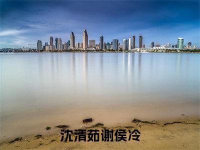 沈清茹谢侯冷(沈清茹谢侯冷)全文免费读无弹窗大结局_沈清茹谢侯冷免费阅读全文大结局最新章节列表_笔趣阁