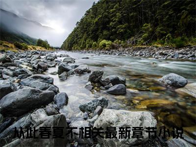 从此春夏不相关（杨楚词陆长泽）全文免费阅读_杨楚词陆长泽最新章节小说免费阅读_笔趣阁从此春夏不相关