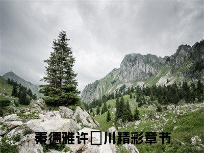 秦德雅许洺川免费阅读无弹窗大结局，为了你，我愿意重新爱上这个世界最新章节