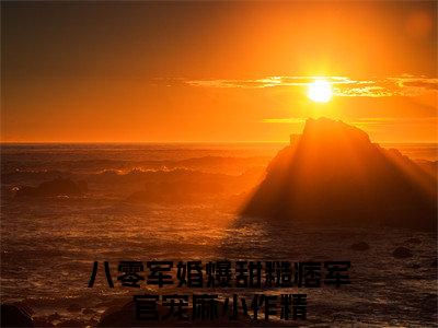 沈知意江城（八零军婚爆甜糙痞军官宠麻小作精）全文免费阅读无弹窗大结局_八零军婚爆甜糙痞军官宠麻小作精全文在线阅读