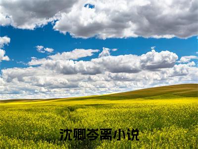 沈卿岑离抖音最新热点小说，沈卿岑离小说最新章节阅读
