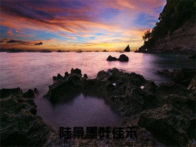 陆景墨叶佳禾的小说（陆景墨叶佳禾）全文免费阅读