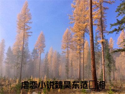 魏昊东范珺湘(魏昊东范珺湘)全文免费阅读无弹窗大结局-魏昊东范珺湘求书热文免费阅读