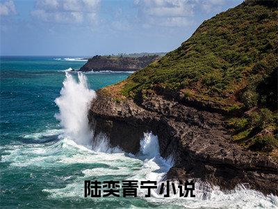 陆奕青宁完整版（陆奕青宁小说）全文免费阅读无弹窗大结局_陆奕青宁最新章节（陆奕青宁小说）