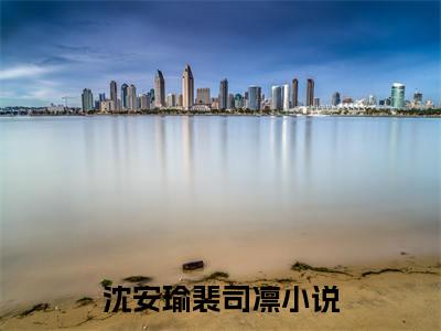 主角为沈安瑜裴司凛的小说全文完整版阅读