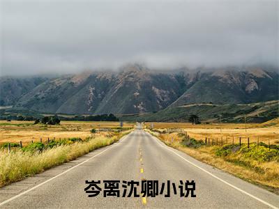 【新书】《岑离沈卿》全文免费阅读无弹窗大结局-岑离沈卿全章节免费阅读