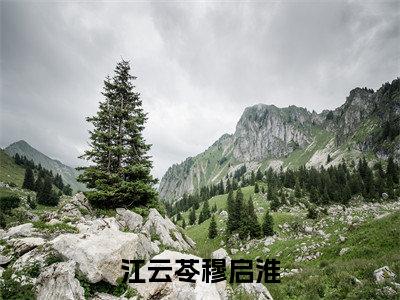江云苓穆启淮（江云苓穆启淮）全文免费阅读无弹窗_江云苓穆启淮最新小说_笔趣阁