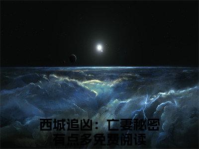 西城追凶：亡妻秘密有点多（程安雨）新上热文小说全文免费阅读-小说（程安雨）完整版阅读
