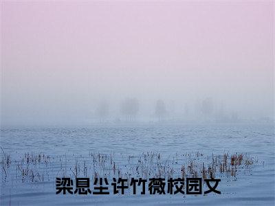 梁息尘许竹薇小说（梁息尘许竹薇）全文在线阅读无弹窗大结局