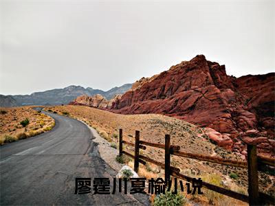 廖霆川夏榆抖音小说-小说主角叫什么廖霆川夏榆