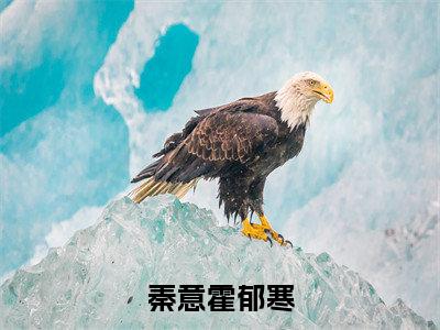 秦意霍郁寒是什么 秦意霍郁寒免费阅读全文