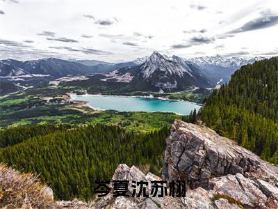 岑夏沈苏栩(幻想着总有一天可以感动他)抖音热推小说全集无删减_(幻想着总有一天可以感动他免费阅读全文大结局)最新章节列表_笔趣阁