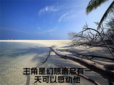 岑夏沈苏栩全文免费免费阅读无弹窗最新章节列表_笔趣阁（幻想着总有一天可以感动他全文免费）