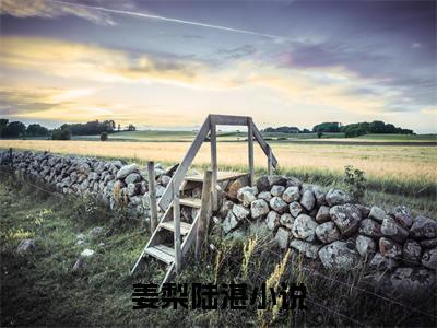 姜梨陆湛在线阅读（姜梨陆湛小说）全文免费阅读无弹窗大结局_姜梨陆湛免费最新章节列表_笔趣阁（姜梨陆湛小说）