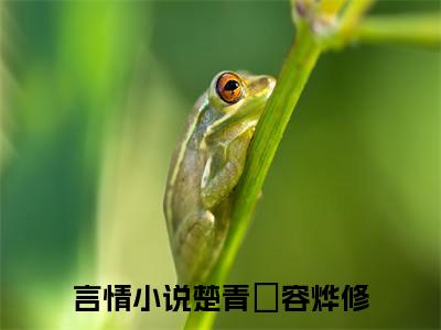 楚青婈容烨修（楚青婈容烨修）小说大结局-小说（楚青婈容烨修）免费阅读楚青婈容烨修