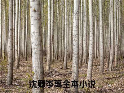 （沈卿岑离）是什么小说-（沈卿岑离）全文免费阅读无弹窗大结局（沈卿岑离）最新章节列表_笔趣阁