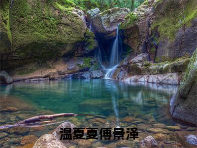 温夏夏傅景泽小说阅读 温夏夏傅景泽全文免费无广告