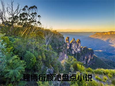 程博衍颜沁小说全文免费阅读_程博衍颜沁（程博衍颜沁）最新章节列表在线阅读