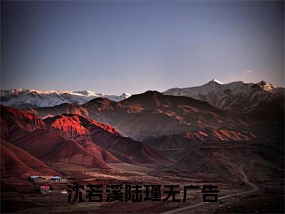 沈若溪陆瑾全文免费阅读无弹窗-沈若溪陆瑾小说全文在线阅读笔趣阁