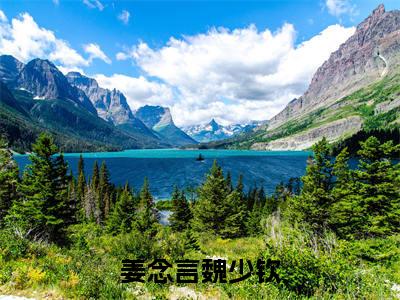 完结版姜念言魏少钦小说在线阅读大结局-姜念言魏少钦全文阅读已更新姜念言魏少钦