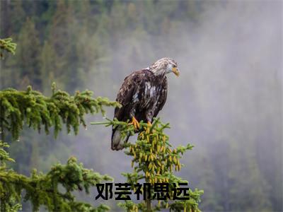 邓芸祁思远全文免费阅读(邓芸祁思远)全文免费阅读无弹窗大结局(邓芸祁思远小说免费)最新章节列表 笔趣阁(邓芸祁思远)