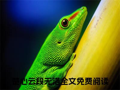 楚心云段无洛（楚心云段无洛）全文完整版免费阅读_（楚心云段无洛小说免费阅读）最新章节列表