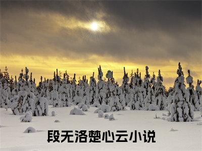 段无洛楚心云(段无洛楚心云)最新章节在线阅读-段无洛楚心云已完结全集大结局小说