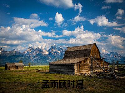 孟雨顾时浔已完结小说《孟雨顾时浔》在线全文阅读