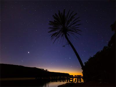 季屿霄林洛清小说在线阅读(季屿霄林洛清)_季屿霄林洛清小说最新章节