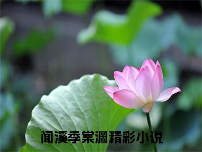 闻溪季棠渊小说最新章节（闻溪季棠渊）全文免费阅读无弹窗大结局_闻溪季棠渊免费阅读（闻溪季棠渊小说）