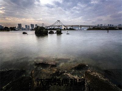 沈未晚傅知晏小说(沈未晚傅知晏)全文免费阅读_沈未晚傅知晏（沈未晚傅知晏）最新章节完整版免费阅读（沈未晚傅知晏）