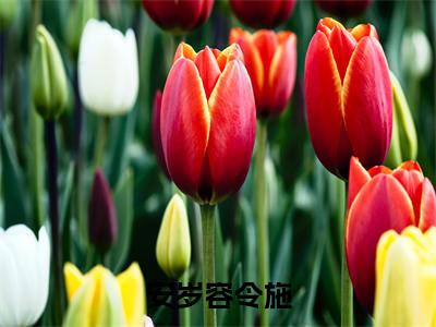 安岁容令施全文小说（安岁容令施）全文阅读-安岁容令施在线小说免费阅读