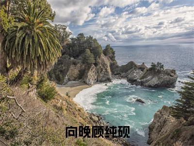 向晚顾纯砚小说最新章节免费阅读-向晚顾纯砚全文赏析完整版