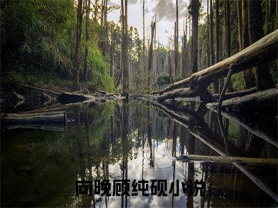 向晚顾纯砚（向晚顾纯砚）全文免费阅读无弹窗大结局_（向晚顾纯砚）最新章节列表笔趣阁