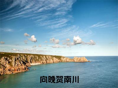 主角为向晚贺南川的言情小说讲的是什么-（向晚贺南川）小说在线阅读