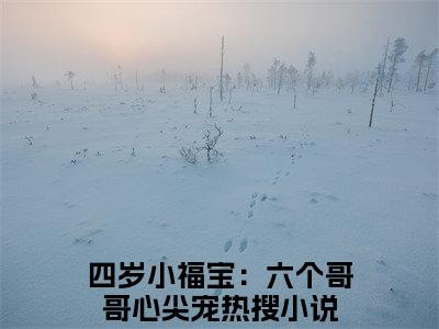 四岁小福宝：六个哥哥心尖宠在线阅读（纪陌沫纪言易）全文免费阅读无弹窗大结局_ (四岁小福宝：六个哥哥心尖宠全文免费阅读)最新章节列表_笔趣阁（纪陌沫纪言易）