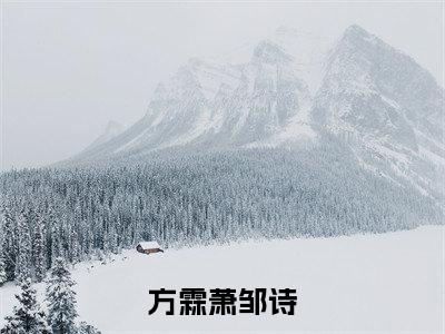 方霖萧邹诗(方霖萧邹诗)全文免费阅读无弹窗大结局_ (方霖萧邹诗小说免费阅读)最新章节列表_笔趣阁（方霖萧邹诗）